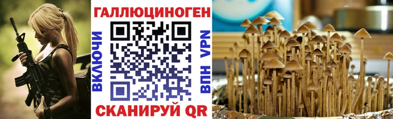 Псилоцибиновые грибы Cubensis hydra как зайти Котельниково